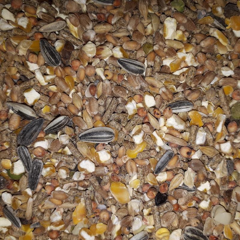 MillersFeed Scharrelmix Kip 20 kg. - Afbeelding 2