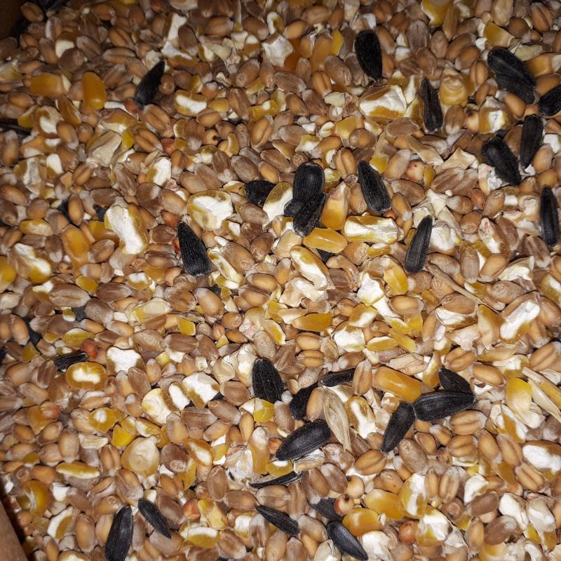 MillersFeed Bio Gemengd Graan NL-Bio-01 - Afbeelding 2
