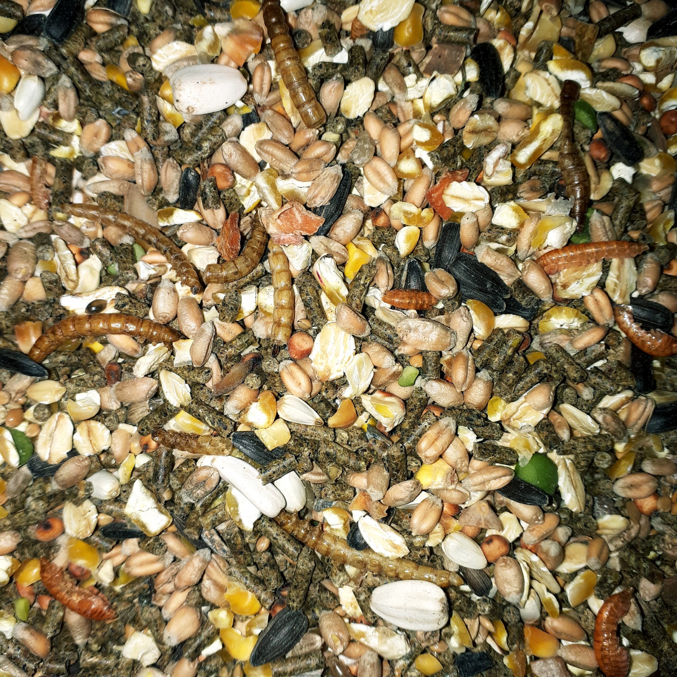 MillersFeed GoldMix 1,75 kg. - Afbeelding 2