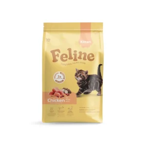 HobbyFirst Feline Kitten -1 jaar 4,5 kg.